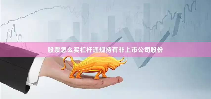 股票怎么买杠杆违规持有非上市公司股份