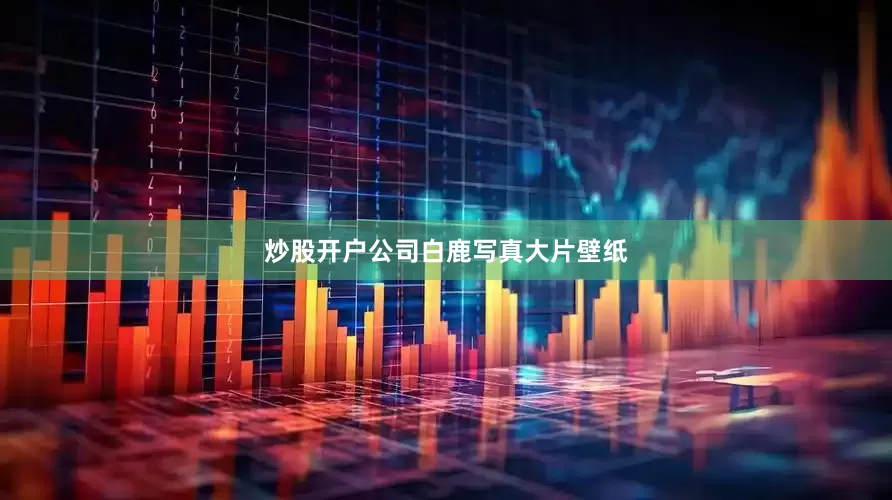 炒股开户公司白鹿写真大片壁纸