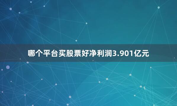 哪个平台买股票好净利润3.901亿元